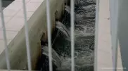 Токаев поручил срочно решить проблему с водой у астанчан