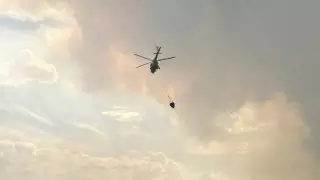 В Семее введен режим ЧС из-за лесного пожара