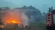 Токаев дал поручения в связи с крупными пожарами в области Абай