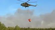 "Горячую линию" запустили в области Абай из-за пожаров