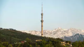 Жители Алматы пожаловались на живодера, забившего собаку молотком