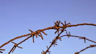 Двух узбекистанцев превратили в рабов в Алматинской области