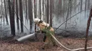 Большая часть очагов пожара в области Абай локализована