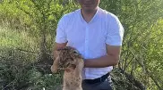 Двух львят из зоопарка Караганды пытались незаконно продать