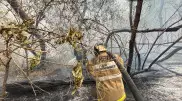Борьба с огнем в области Абай продолжается на пяти участках