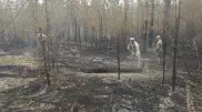 Минобороны ликвидирует последствия ЧС в Абайской области