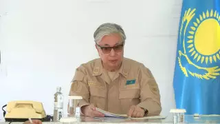 Пожар в области Абай: Токаев дал поручение чиновникам
