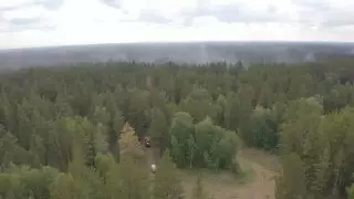 Нарушающих правила безопасности в лесу нужно привлекать к уголовной ответственности - Токаев