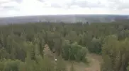 Нарушающих правила безопасности в лесу нужно привлекать к уголовной ответственности - Токаев