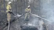 Возбуждено уголовное дело по факту лесного пожара в области Абай