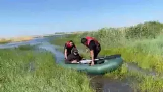 "Потерял сознание и дрейфовал на лодке": рыбака спасли в Костанайской области