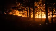 Эрдоган позвонил Токаеву
