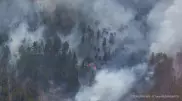Кого накажут за пожар в области Абай, спросили вице-премьера Скляра