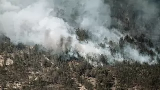 Сколько денег собрали казахстанцы на помощь области Абай