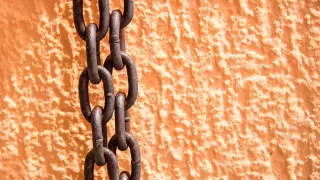 "Избивали и заставляли пасти скот": двух пастухов превратили в рабов в Карагандинской области