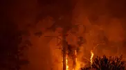Лесной пожар в области Абай локализован