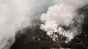 Повторный аудит могут провести в Минэкологии после пожара в области Абай