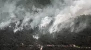 Примерные сроки ликвидации пожара в области Абай назвали в МЧС