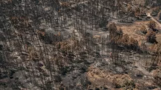 "Ни один тенге не потрачен?" Глава Минфина рассказал о тратах на последствия пожара в области Абай