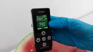 Очень опасно? Эксперты проверили арбузы в Казахстане