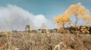 Степной пожар возник в Шу