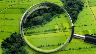 В Жетысу уволены начальники отделов районных акиматов за нарушения в сфере земельных отношений