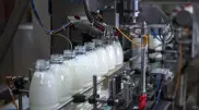 Наращивать переработку сельхозпродукции будут в Костанайской области