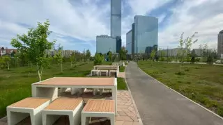 Токаев высказался об астанчанах, засоряющих парки