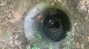 Провалившегося в пятиметровый колодец теленка спасли в Усть-Каменогорске