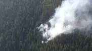 Заповедник горит в ВКО