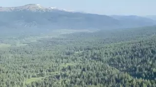 Пожар в заповеднике близ Риддера локализован - ДЧС ВКО