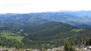 В МЧС озвучили новые данные по пожару в Катон-Карагайском нацпарке