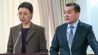 Брекешев направлял представление на мое освобождение - министр экологии Сулейменова