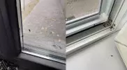 На нашествие клопов жалуются алматинцы