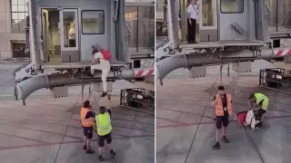 Как в фильме: опоздавший на рейс пассажир свалился с трапа