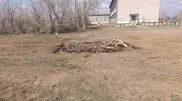 Директора школы наказали после падения ребенка в выгребную яму в Павлодарской области