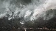 Пожар в области Абай: названы подозреваемые