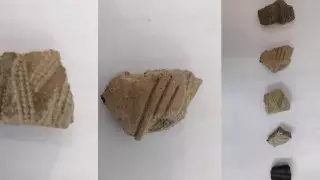 Поселение эпохи бронзы обнаружили археологи в СКО