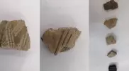 Поселение эпохи бронзы обнаружили археологи в СКО