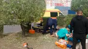 Троих рабочих ударило током во время обрезки деревьев в Павлодаре