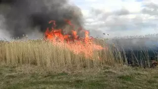 Пожар в области Абай полностью потушен