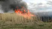 Пожар в области Абай полностью потушен