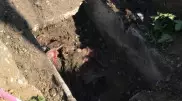 Скелет человека обнаружили во время замены труб в Костанае