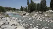Мертвую рыбу обнаружили на берегу реки в Алматинской области