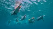 В Алматинской области стартовал  заплыв OCEANMAN KAZAKHSTAN – 2023