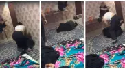 "Так вовлекают в секс-рабство". В сети опубликовали видео избиения девушки в Алматы