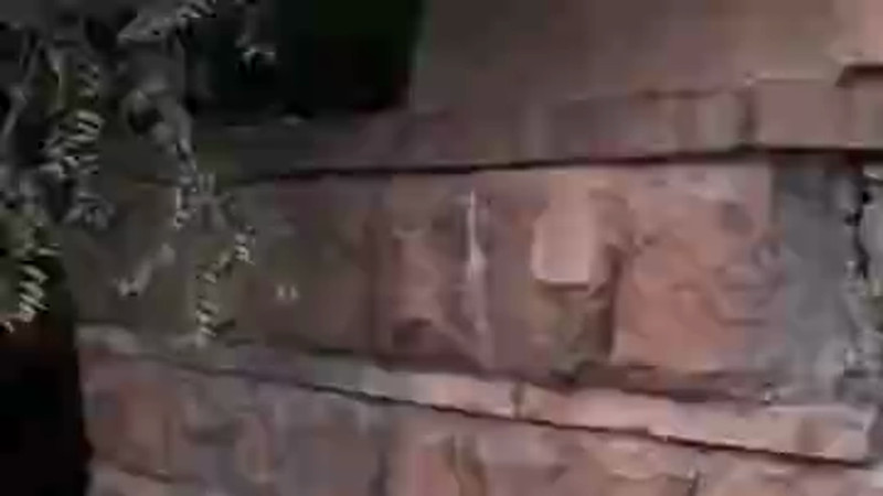 Кадр из видео