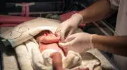 Сколько детей родилось в Казахстане в День столицы