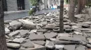 "Скинули плитку на ели": в акимате Алматы ответили на претензии горожан