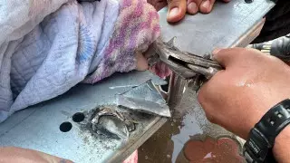 Застрял палец ребенка: алматинские спасатели провели необычную спецоперацию